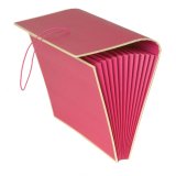Inexpensive accordian storage folder with cover flap.